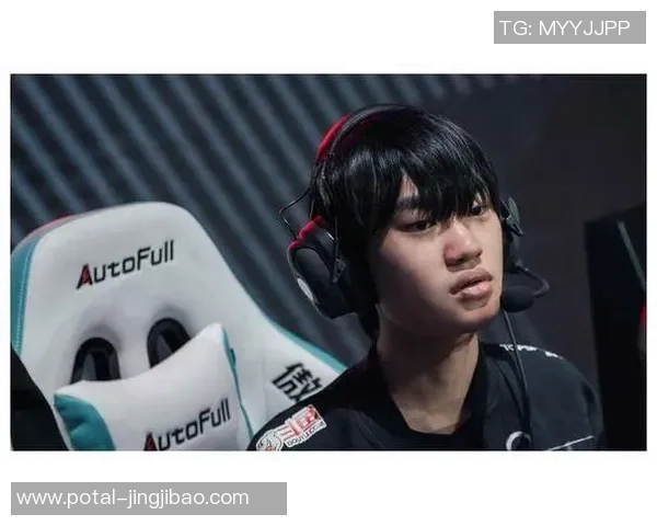 TES战队战术表现深度分析与数据解读探讨