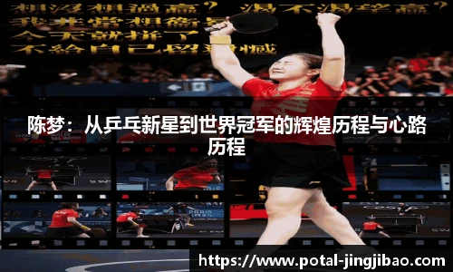 竞技宝官网